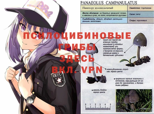 а пвп мука Алексин