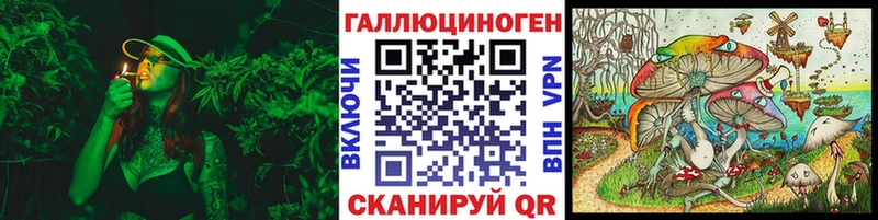 Галлюциногенные грибы Psilocybe  Ветлуга 